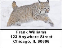 The Bobcat  Address Labels | LBBAB-69