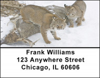 The Bobcat  Address Labels | LBBAB-69