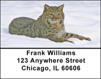 The Bobcat  Address Labels | LBBAB-69