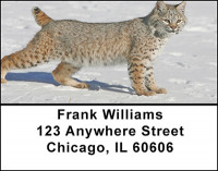 The Bobcat  Address Labels | LBBAB-69