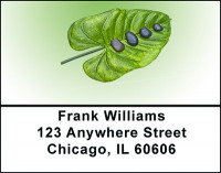 Zen Stones on Leaves Address Labels | LBBAB-93
