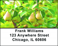 Pears Medley Address Labels | LBBAC-15