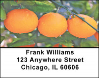 Fresh Fruit Address Labels | LBBAC-18