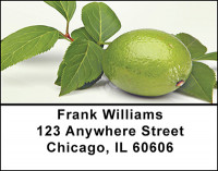 Fresh Fruit Address Labels | LBBAC-18