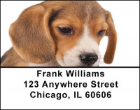 Beagle Dog Breed Address Labels | LBBAC-38