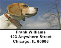 Beagle Dog Breed Address Labels | LBBAC-38