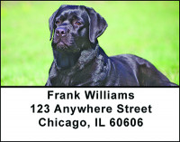 Black Lab Address Labels | LBBAC-40