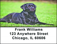 Black Lab Address Labels | LBBAC-40