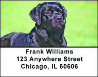 Black Lab Address Labels | LBBAC-40