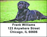 Black Lab Address Labels | LBBAC-40