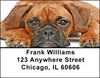 Boxer Dog Breed Address Labels | LBBAC-42