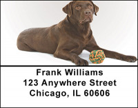 Chocolate Labrador Address Labels | LBBAC-44