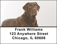 Chocolate Labrador Address Labels | LBBAC-44