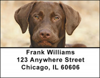 Chocolate Lab Address Labels | LBBAC-45