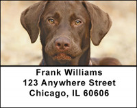 Chocolate Lab Address Labels | LBBAC-45