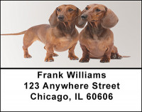 Daschund Dog Breed Address Labels | LBBAC-46