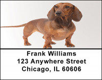 Daschund Dog Breed Address Labels | LBBAC-46