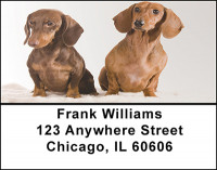 Daschund Dog Breed Address Labels | LBBAC-46