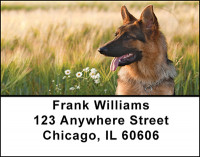 German Shepherd Dogs Address Labels | LBBAC-49