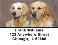 Golden Retriever Dogs Address Labels | LBBAC-51
