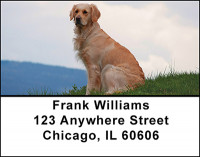 Golden Retriever Dogs Address Labels | LBBAC-51