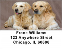 Golden Retriever Dogs Address Labels | LBBAC-51
