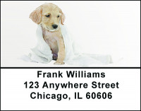 Golden Retriever Dog Breed Address Labels | LBBAC-52