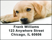 Golden Retriever Dog Breed Address Labels | LBBAC-52
