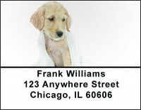 Golden Retriever Dog Breed Address Labels | LBBAC-52