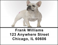 French Bull Dog Address Labels | LBBAC-53
