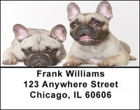 French Bull Dog Address Labels | LBBAC-53
