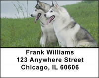 White Husky Dog Address Labels | LBBAC-54
