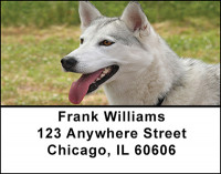 White Husky Dog Address Labels | LBBAC-54