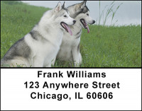 White Husky Dog Address Labels | LBBAC-54