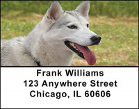 White Husky Dog Address Labels | LBBAC-54