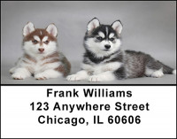 Siberian Husky Dog Address Labels | LBBAC-55