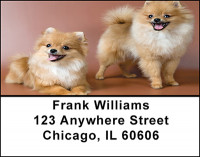 Pomeranian Dog Breed Address Labels | LBBAC-56
