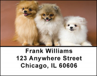 Pomeranian Dog Breed Address Labels | LBBAC-56