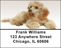 Apricot Poodle Address Labels | LBBAC-57