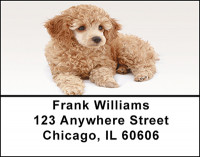 Apricot Poodle Address Labels | LBBAC-57
