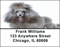 A Poodle Portrait Address Labels | LBBAC-58
