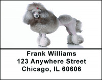 A Poodle Portrait Address Labels | LBBAC-58