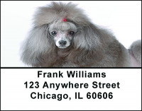 A Poodle Portrait Address Labels | LBBAC-58