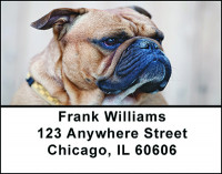 Bull Dog Dog Breed Address Labels | LBBAC-59