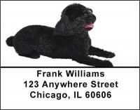 Black Poodle Address Labels | LBBAC-60