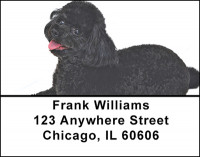 Black Poodle Address Labels | LBBAC-60