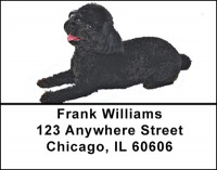 Black Poodle Address Labels | LBBAC-60