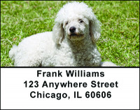 White Poodle Address Labels | LBBAC-61