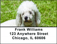 White Poodle Address Labels | LBBAC-61