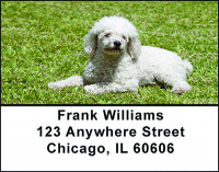 White Poodle Address Labels | LBBAC-61
